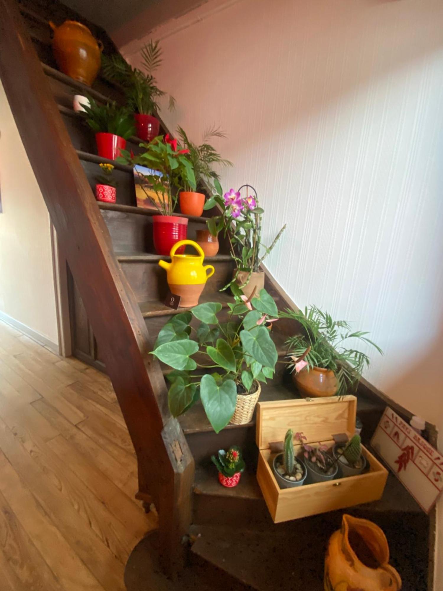 Olhatsia Séjour chez l'habitant *